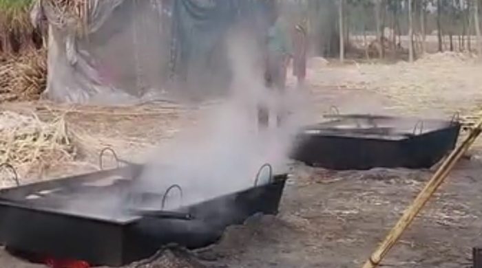গাইবান্ধার চরাঞ্চলে আখের রসের মিষ্টি ঘ্রাণ, খুলছে সম্ভাবনার নতুন দিগন্ত