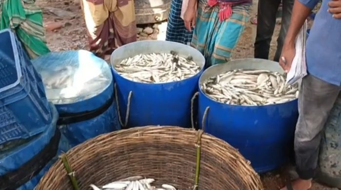 রমজানের ১ দিন বাকি, মাছের আড়তে উপচে পড়া ভীর।