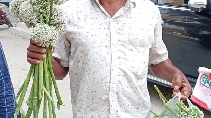 ভাঙ্গায় রাতের আঁধারে পেঁয়াজের কদম নষ্ট, কৃষকের অভিযোগ