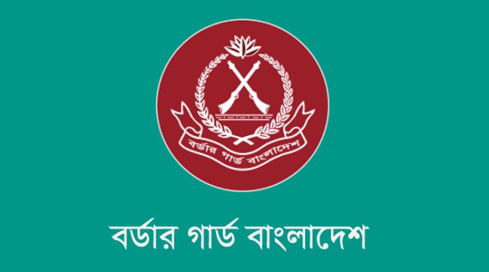 রাঙ্গামাটিতে অবৈধ সেগুন কাঠ জব্দ করেছে বিজিবি