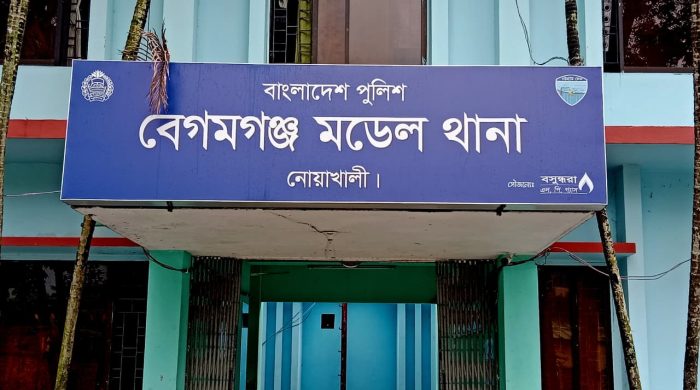 ঘুমের ব্যাঘাত করায় নবজাতককে হত্যা করল মা
